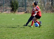 开云体育直播平台-雷恩前锋连续进球，成为球队锋线保障