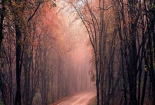 恒大客场逆转建业，豪取四连胜