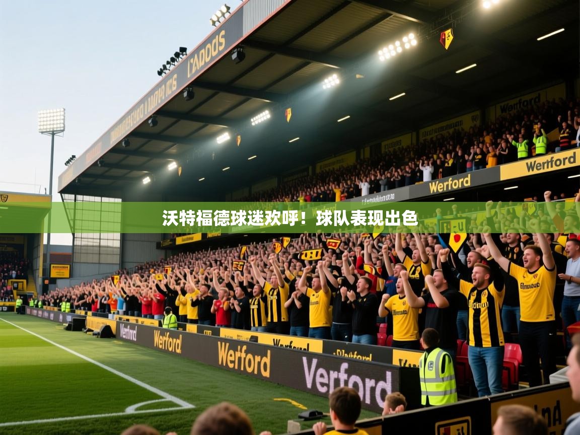 沃特福德球迷欢呼!球队表现出色 第2张